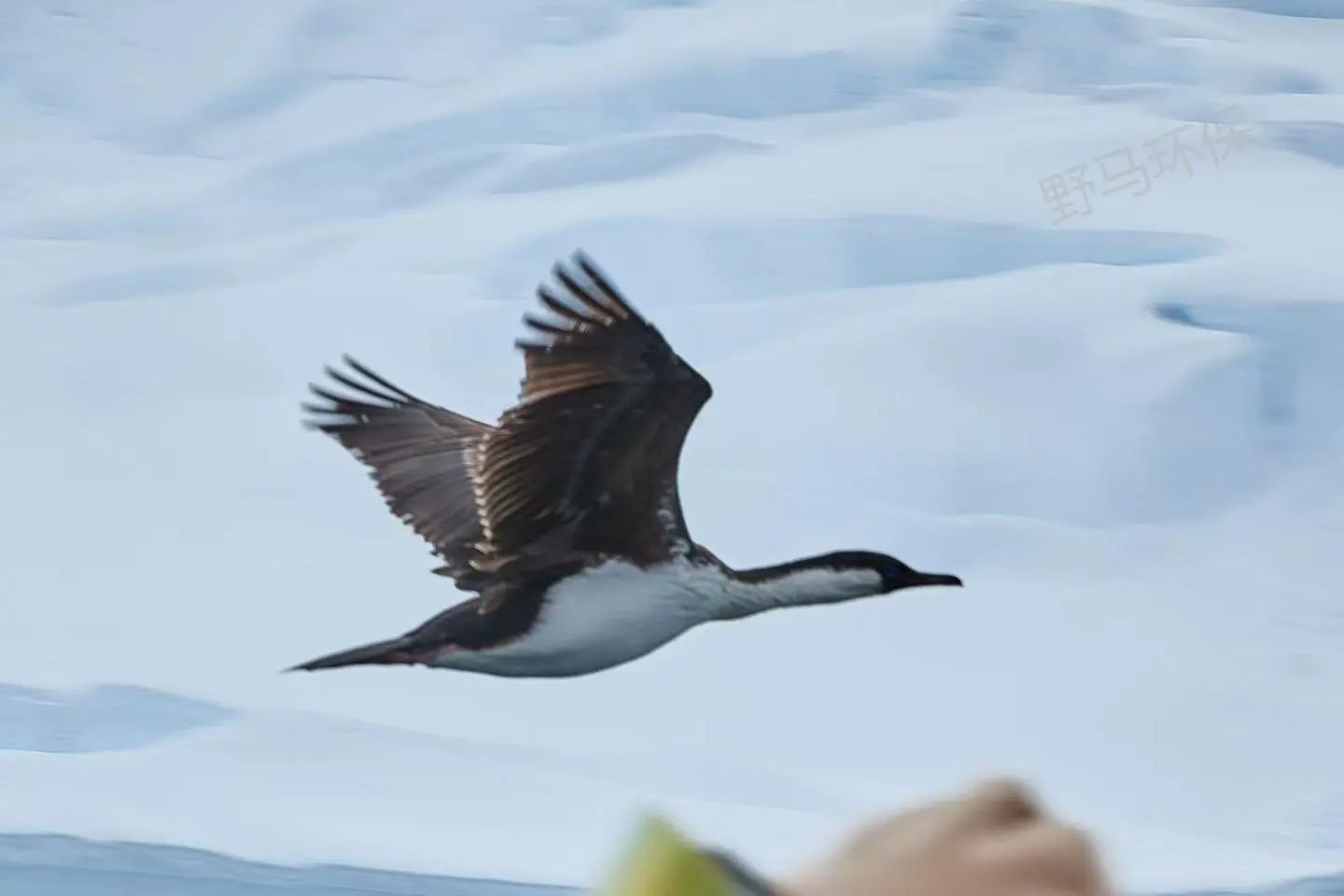 9e5eb19992d8edec1f402f2ca20472d5.jpg 9e5eb19992d8edec1f402f2ca20472d5.jpg